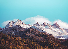 探索体育新体验——尽在九游体育