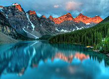 探索体育新体验——尽在九游体育